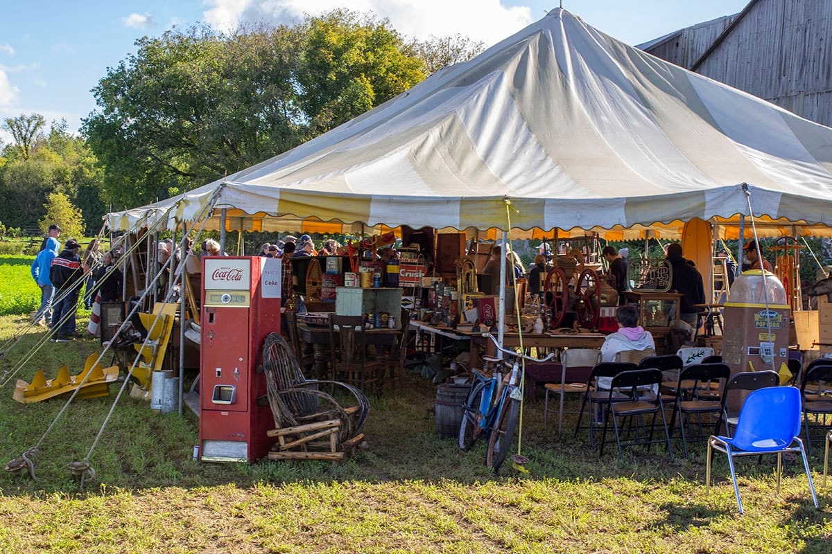 Gillanders Auction Services at work: the auction tent set up in a field