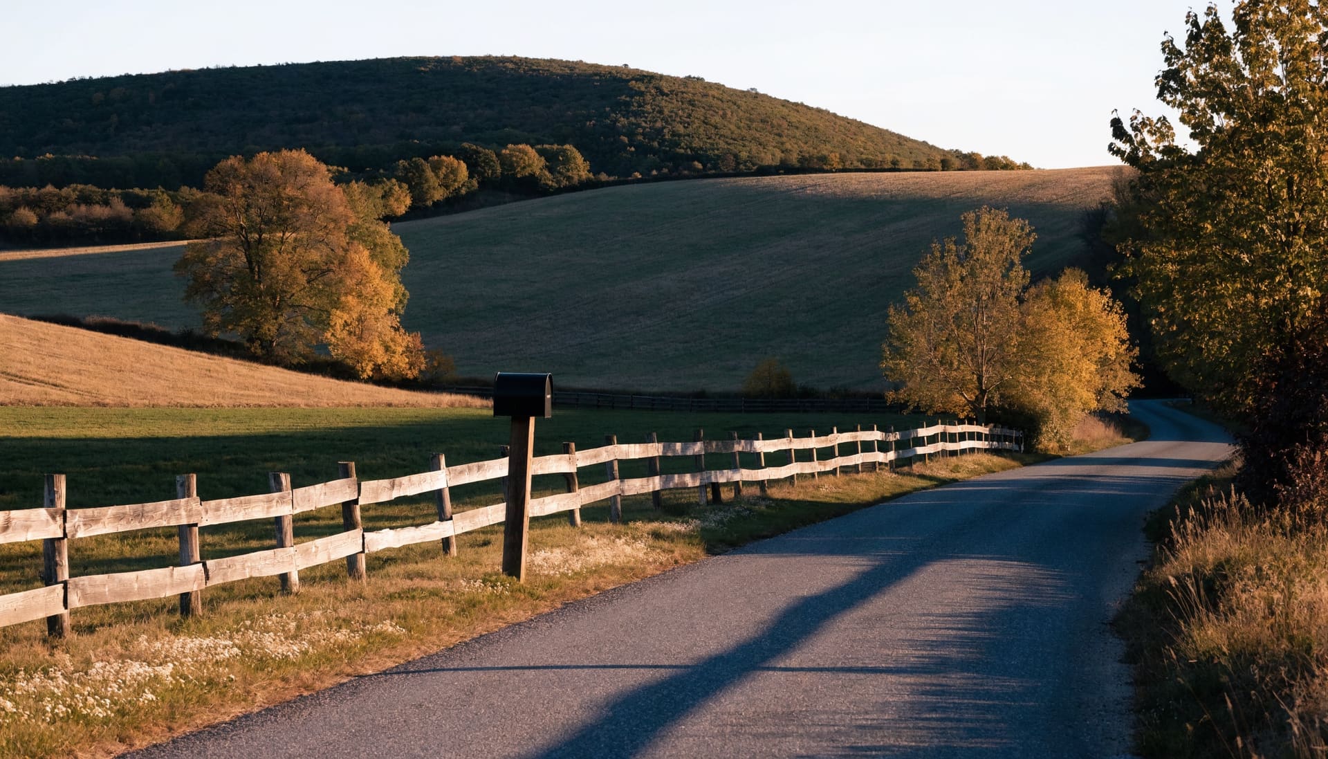 Representative photograph: a rural Ontario country road at golden hour with a split-rail fence and farm fields
