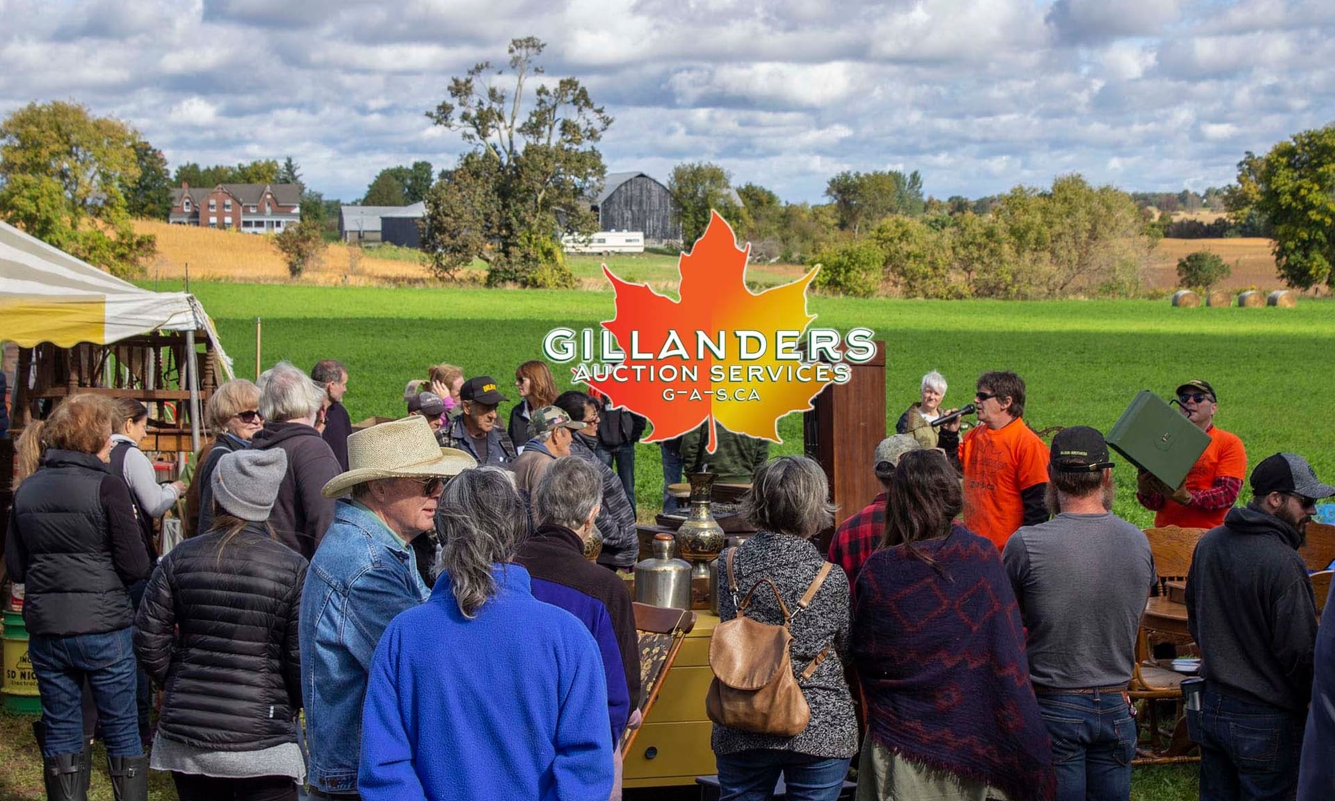 Bidders gathered at a Gillanders Auction Services live auction in a farm field